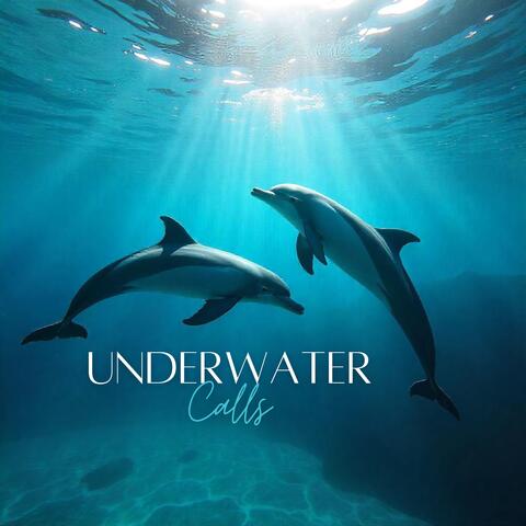 Underwater Calls: Dolphins and Ocean Waves