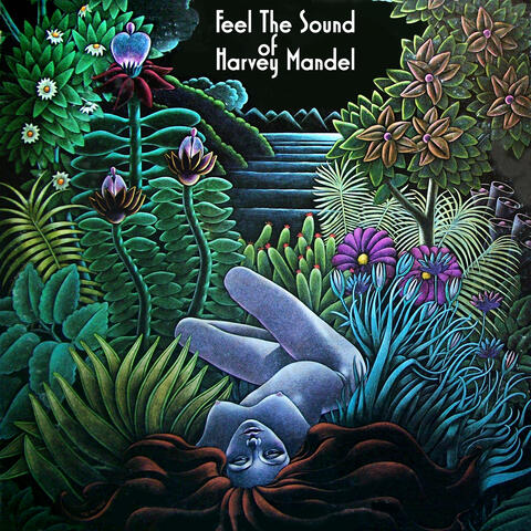 Feel the Sound of Harvey Mandel