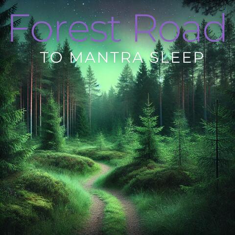 Forest Road to Mantra Sleep