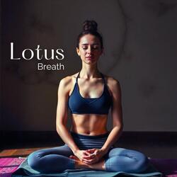Lotus Meditation