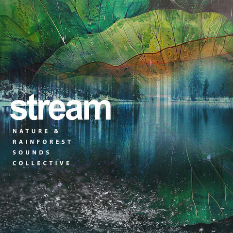 Stream