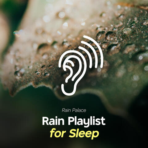Rain Playlist for Sleep
