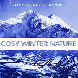 Stormy Nature Garden