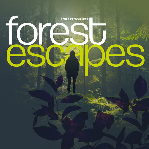Forest Escapes