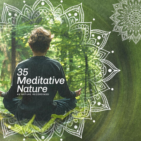 35 Meditative Nature