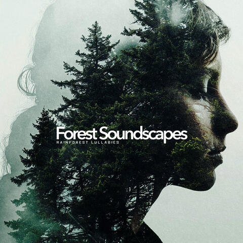 Forest Soundscapes