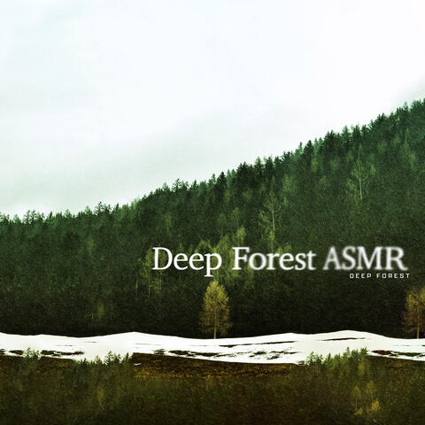 Deep Forest ASMR