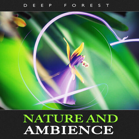 Nature and Ambience