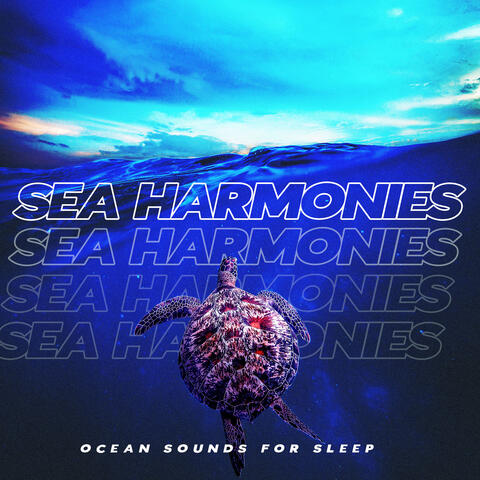 Sea Harmonies