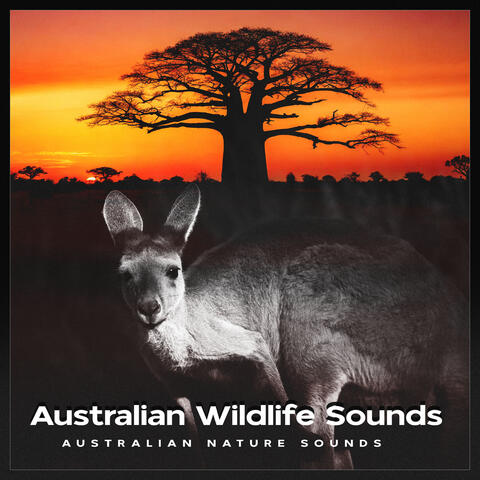 Australian Wildlife Sounds