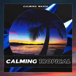Calming Sound of the Beach