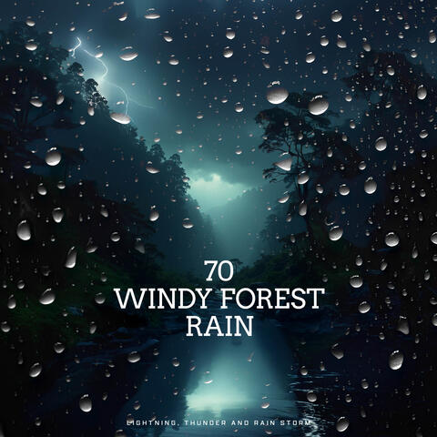 70 Windy Forest Rain