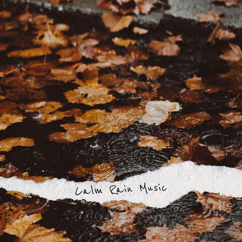 Calm Rain Music