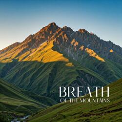 Misty Valleys, Silent Strings