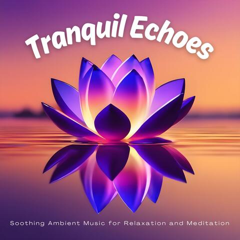 Tranquil Echoes: Soothing Ambient Music for Relaxation and Meditation