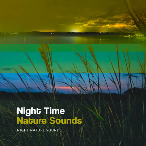 Night Time Nature Sounds
