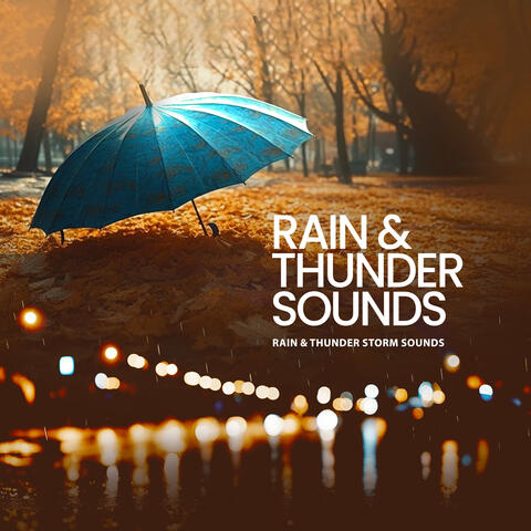 Rain & Thunder Sounds