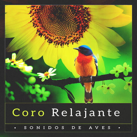 Coro Relajante