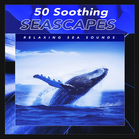 50 Soothing Seascapes