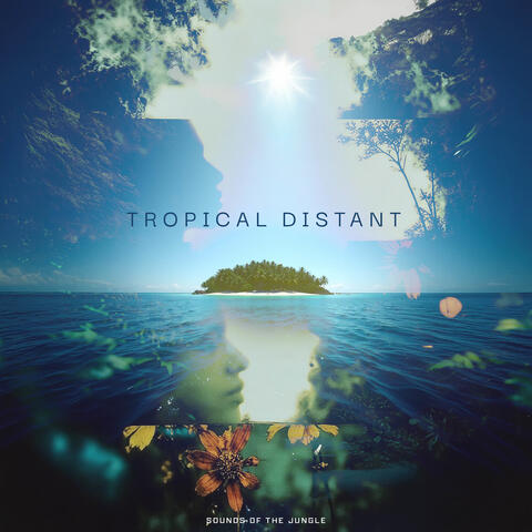 Tropical Distant