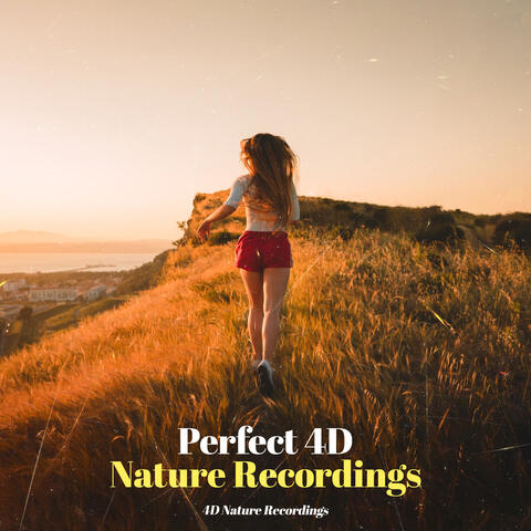 Perfect 4D Nature Recordings
