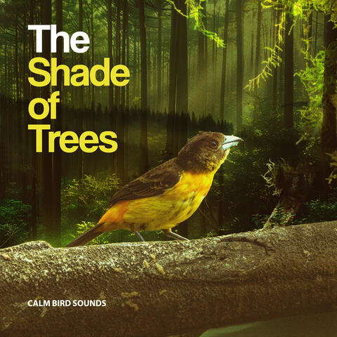 The Shade of Trees