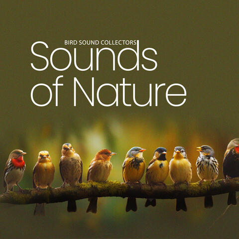Sounds of Nature
