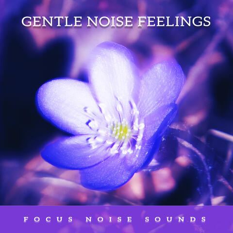 Gentle Noise Feelings