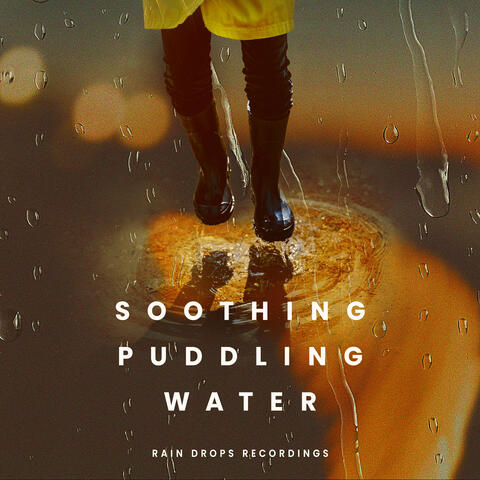 Soothing Puddling Water