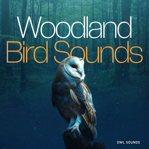 Woodland Bird Sounds