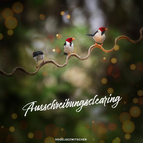 Ausschreibungsclearing