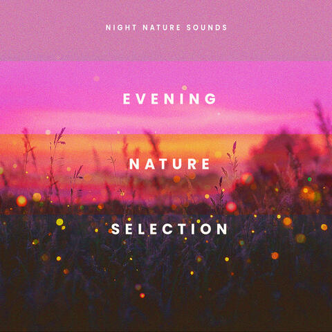 Evening Nature Selection