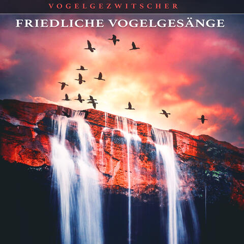 Friedliche Vogelgesänge