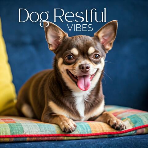 Dog Restful Vibes: Calming Tones for Furry Companions