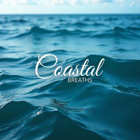 Coastal Breaths: Relaxing Meditation with Ocean Waves