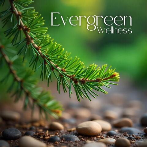 Evergreen Wellness: Cleanse Mind and Spirit through Natural Healing
