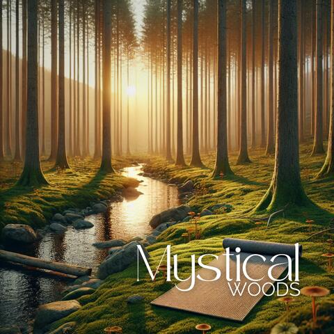 Mystical Woods: Meditation for a Peaceful Night
