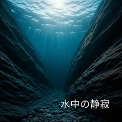 カリブ海のイルカ