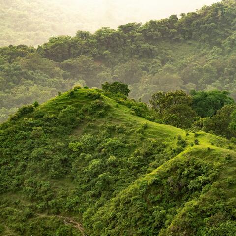 Whispering Hills