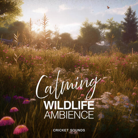 Calming Wildlife Ambience
