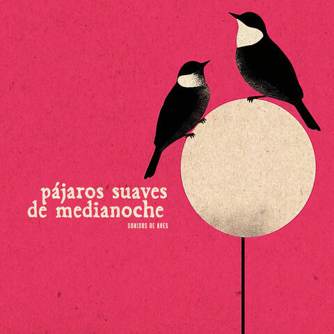 Pájaros Suaves de Medianoche