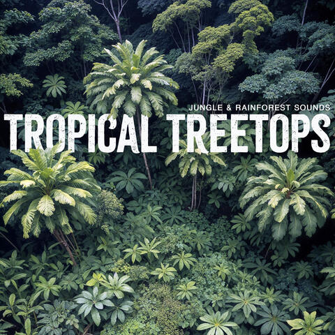 Tropical Treetops