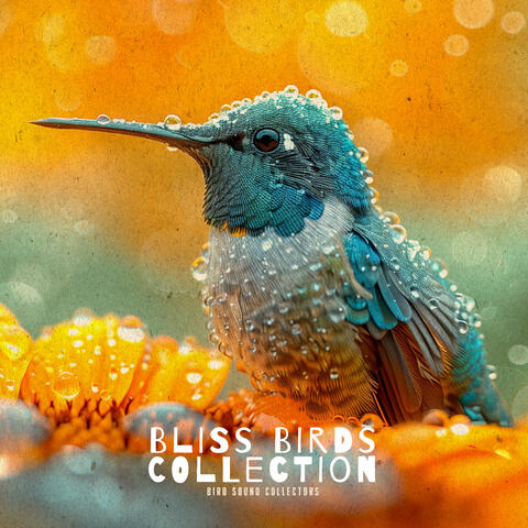 Bliss Birds Collection