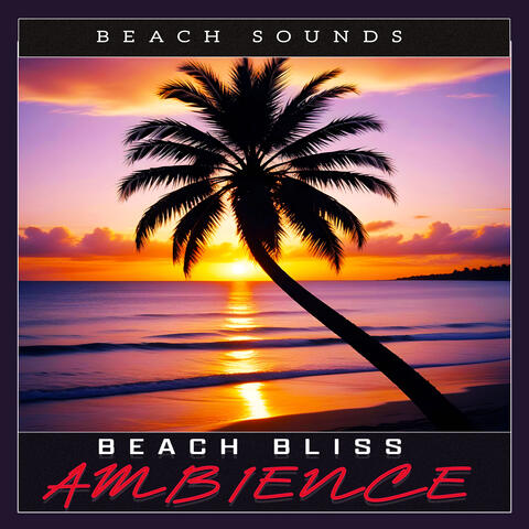 Beach Bliss Ambience