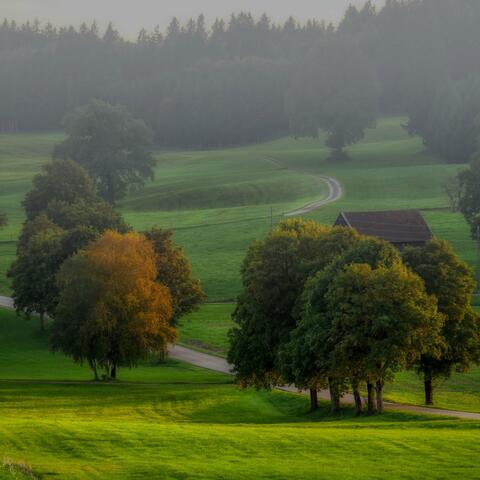 Whispering Meadows