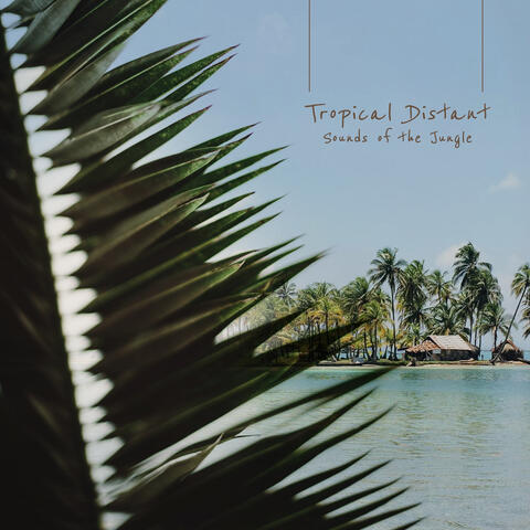 Tropical Distant