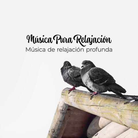 Música Pura Relajación