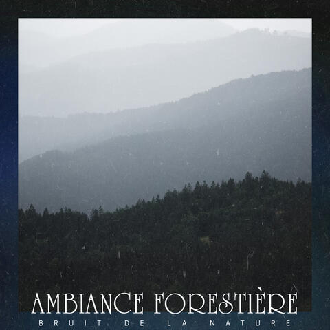 Ambiance Forestière