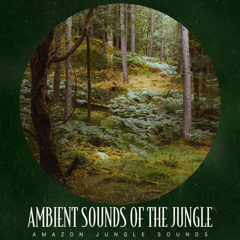 Ambient Sounds of the Jungle