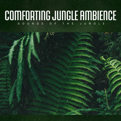 Comforting Jungle Ambience
